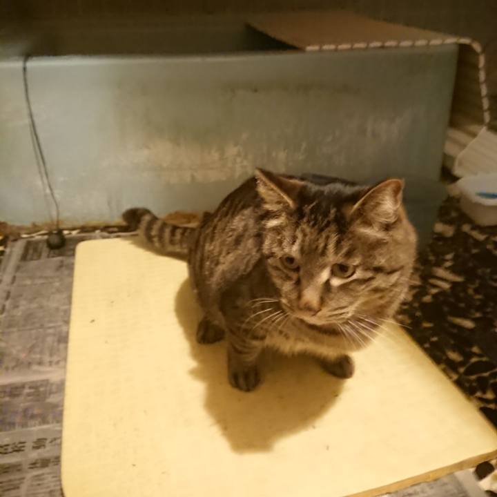 33a9f568 7018 422e ac0d 706c27665ba0 1642502868030