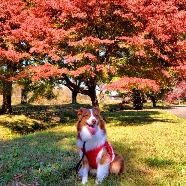 33a9f9a2 6f8d 47f5 aca5 3e7629065bcf 1764415619985