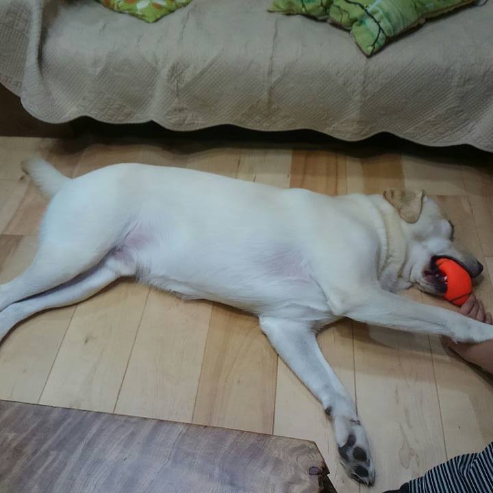 33aa0011 1b51 4eb6 88c4 0650ac1cd577 1507980863584