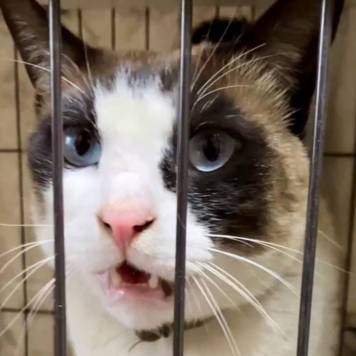 33aa0c7f 0019 44ff 904c 465d8c052940 1743941472343