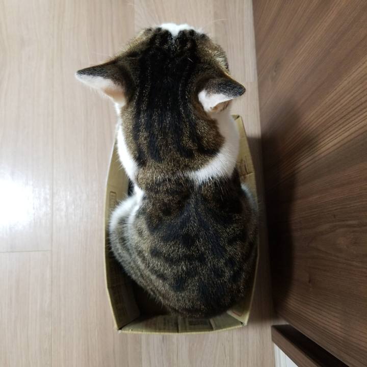 33aa0e59 bf54 42ee 9aa8 e751942b4df8 1592860827112