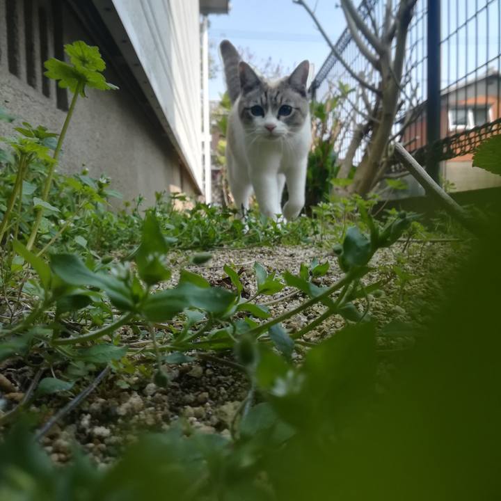 33aa455a 1633 48b8 b6d7 ae420e9bcd78 1521943677107