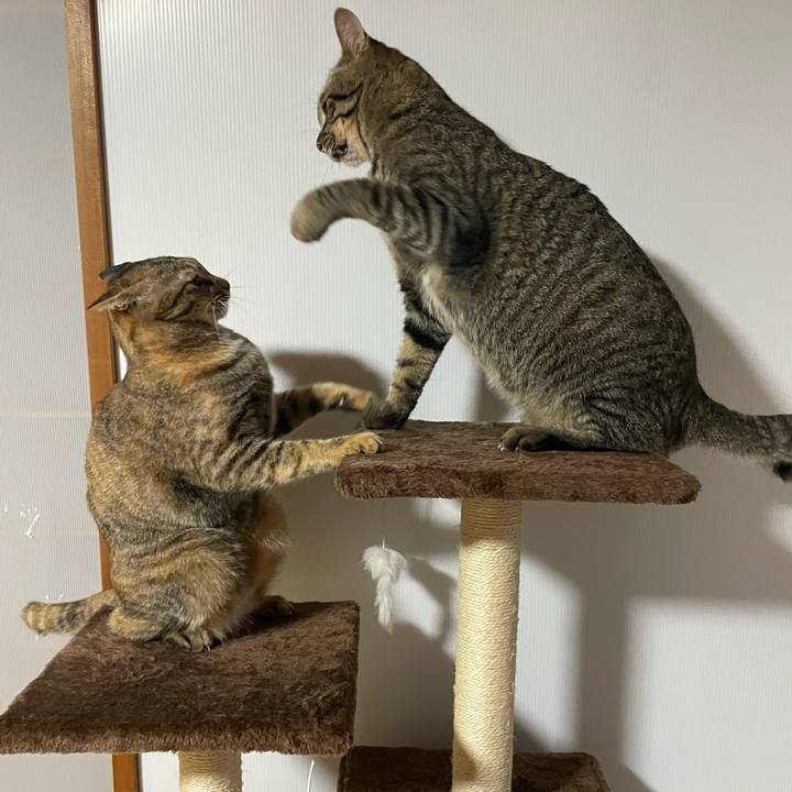 33aa82b0 4e3d 4ea0 b76f c04b7500cc64 1757196903696