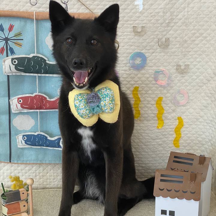 33aa8f88 c0ba 45dd a148 381f1063c7a9 1654914955592