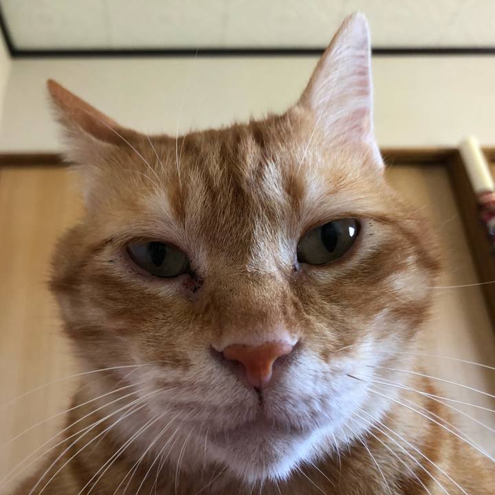 33aaa004 bff5 4ee3 a6e9 72f38512c522 1627304187696