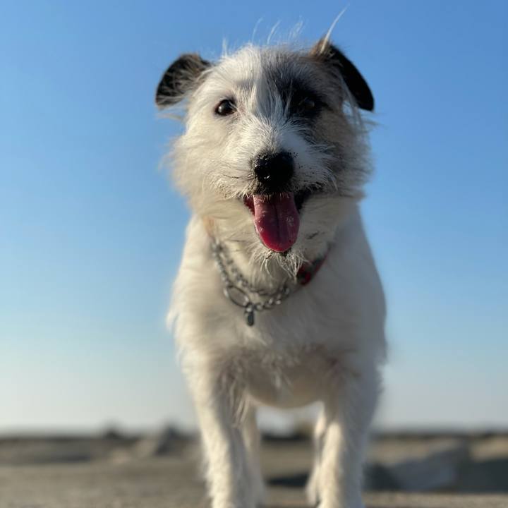 33aaacac 4ef5 45a0 bdf4 37367d16b36d 1619081243326