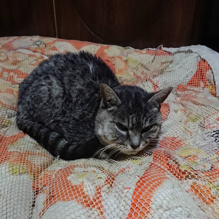 33aac4e0 b833 4256 b211 42978e910853 1580471831914