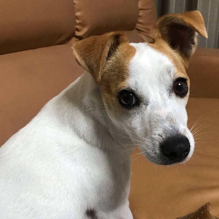 33aadcd1 3ad2 440b bd1f 0e0e5bbcaa07 1586954726731