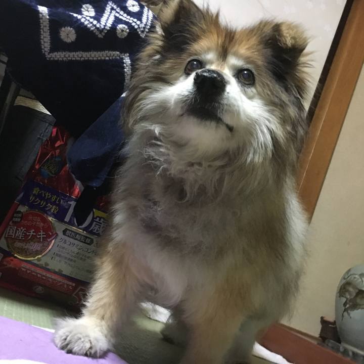 33ab0ea7 7fc9 4c01 8f81 77dd095b8a5f 1589687948679