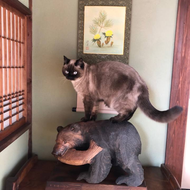 33ab191f bd0a 4064 b71d 126c5bb30a07 1610772381881