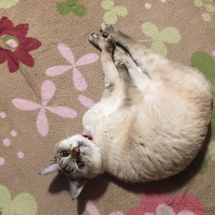 33ab2e82 15d8 4453 a8aa f7fbc46dfc13 1578228266396