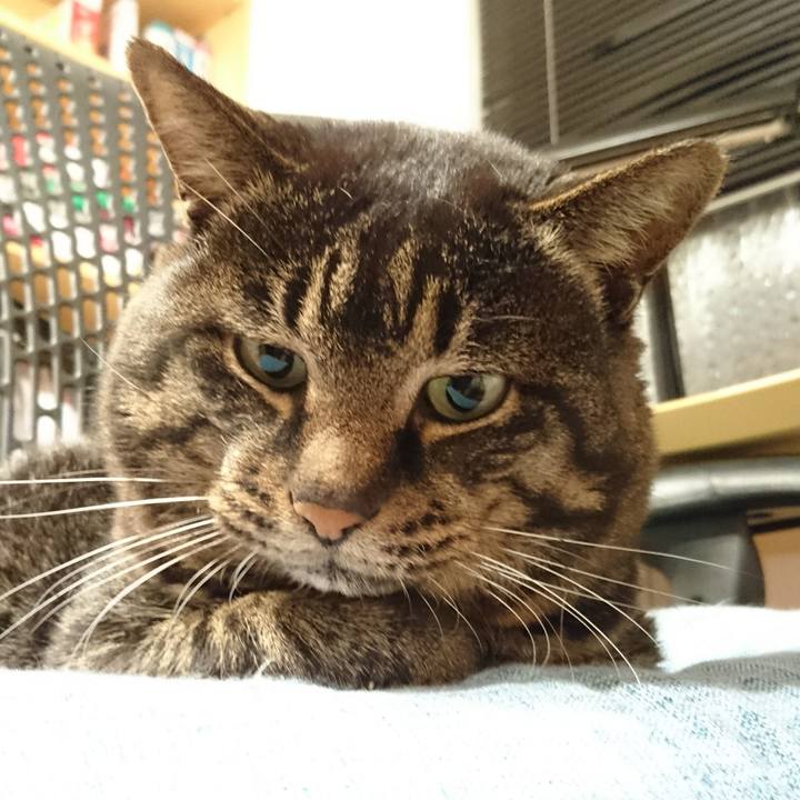 33ab83d8 eae4 4239 ad36 938ba59d5b62 1546257420281