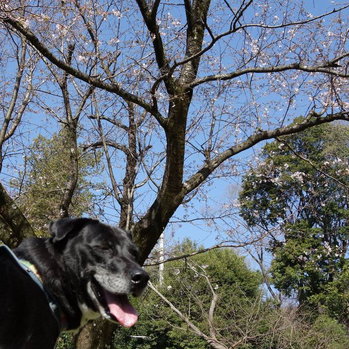 33ab8932 c7a3 4d94 b2c8 915278b4aa9b 1711845021943