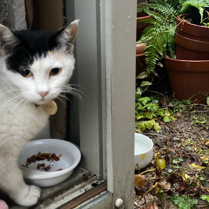 33ab8959 2f2f 438b b7b9 2d3b1cd51311 1637533082778