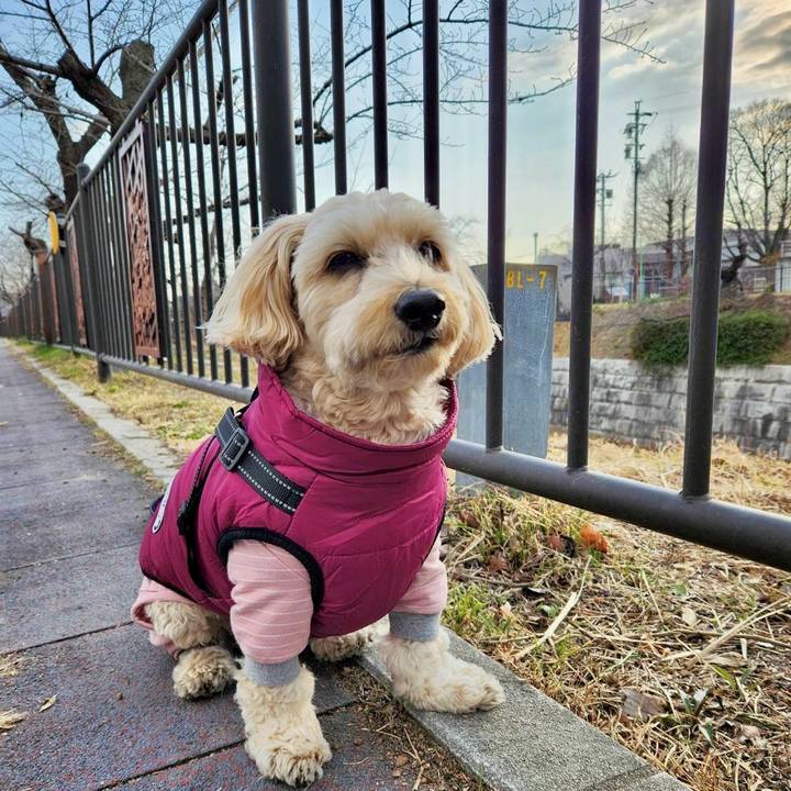 33ab9d4f 247e 40c0 aff6 5584aae8cd13 1769507660472