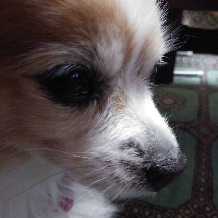 33abbe13 c5e5 4b49 944e 08b307949ad0 1547212312574