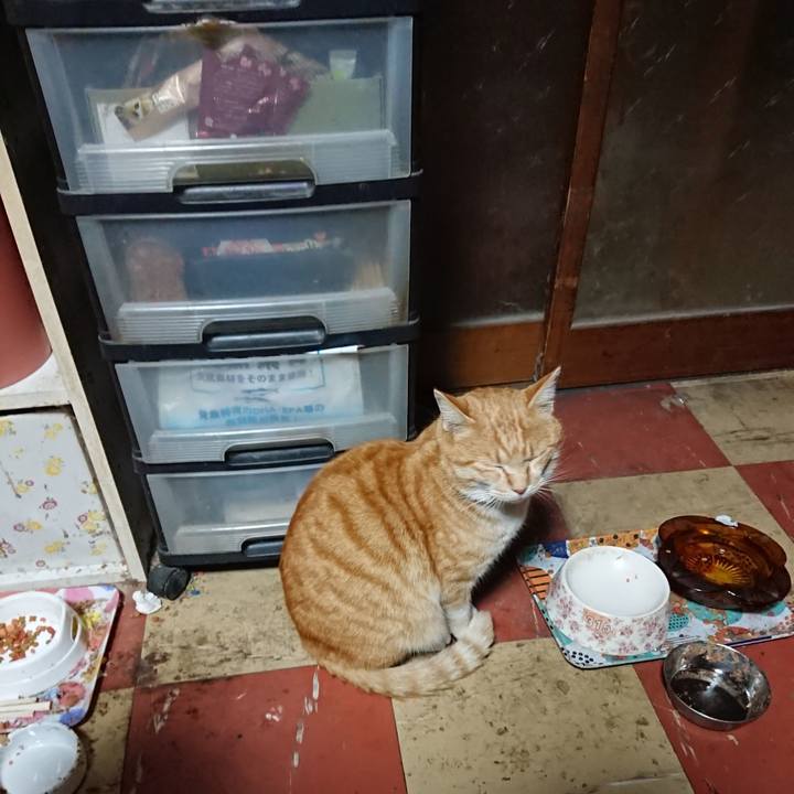 33abd027 2b62 4176 9d7f d9e8874a06e7 1583957075001