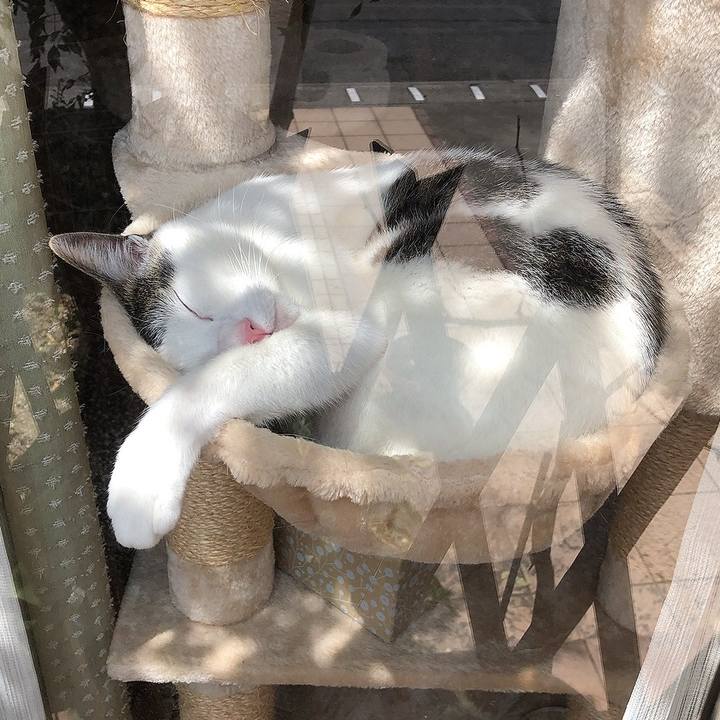 33ac014c 1456 4dc6 a196 fcb26e0e824a 1650100347690