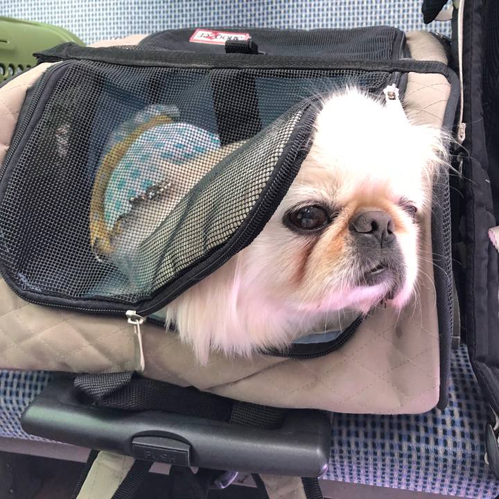 33ac064a b559 4053 b68d 0c01728bffb7 1532391572881