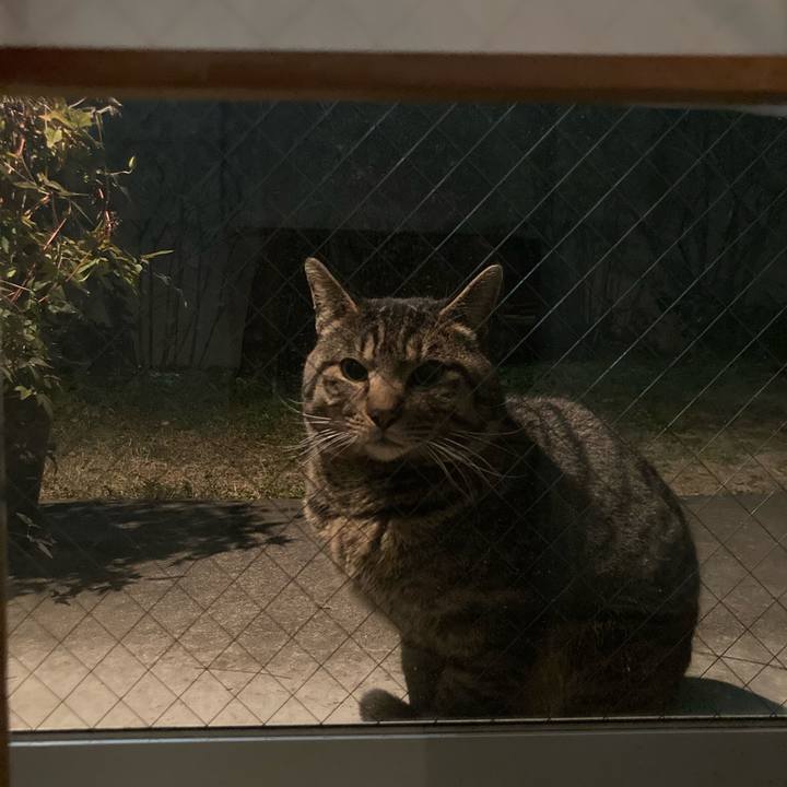 33ac3bd4 7d4f 4047 8f0f a305009d6726 1645237028448