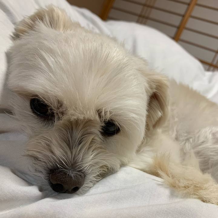 33ac71c9 07cb 448d a697 ff33e74256b4 1635331707139