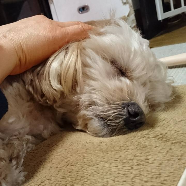 33ac98b3 52a8 4a7b 9c23 3052f2d8583b 1516432671303