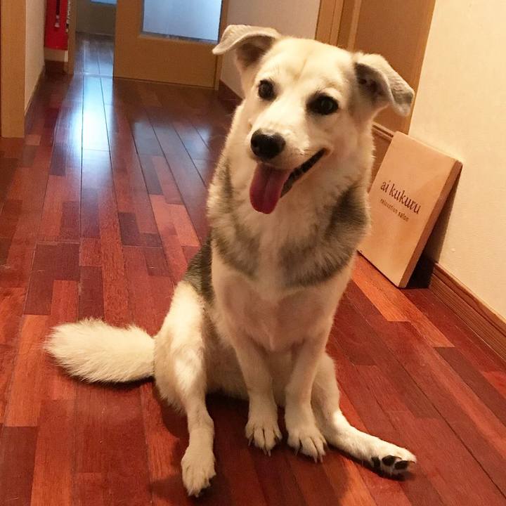 33ac9fce 69ea 445b be1b 07e874e61735 1566555425902