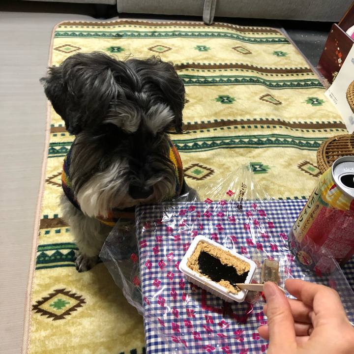 33acccfa 6b61 4d44 be26 220b3b4d7832 1615900619712