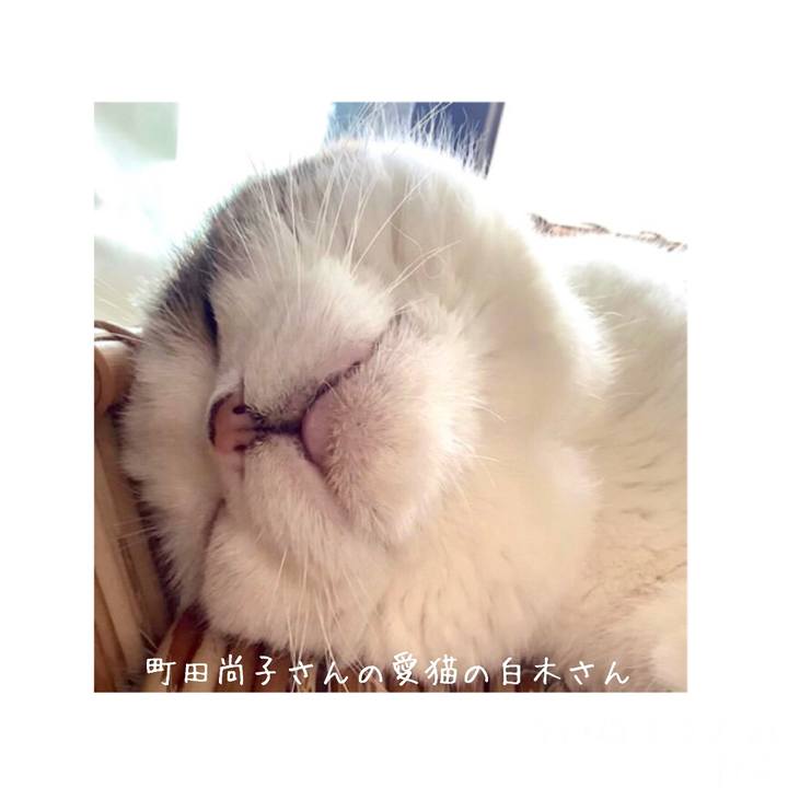 33acda13 11df 45bd 812b 759fa46d8464 1594807720526