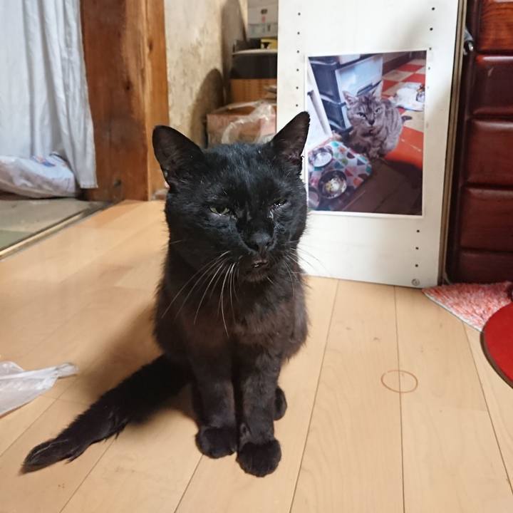 33ace403 7282 4225 ba64 d5871c754e4f 1624879591212