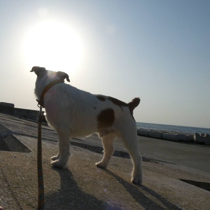 33aceab2 c50a 442d 91ab 4e83fe1d44e3 1587813568349