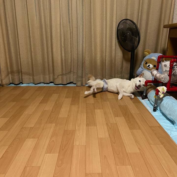 33acfe1c 6bb7 49f9 b80c 4305cb1a25f2 1662221248336