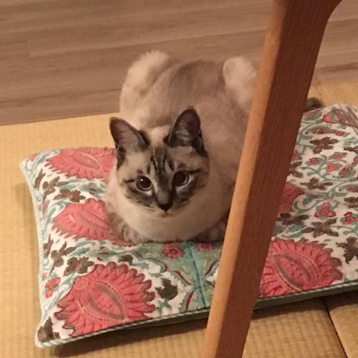 33ad0c70 38c8 4d6e 9f2d 41a13ade999d 1559476630093