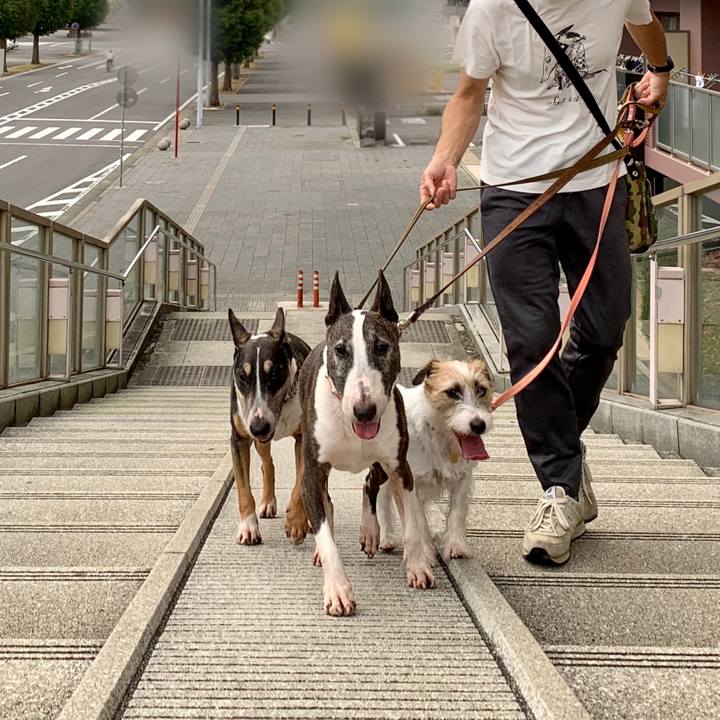 33ad3b20 2c66 4d5e b174 ebe65a28a369 1601716095492