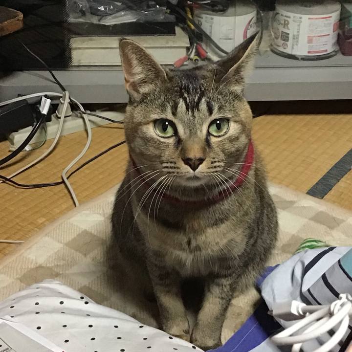 33ad772b 65cf 433b bc95 3b411d9bfd3c 1608799509567