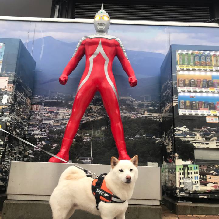 33ad8145 692e 4776 99bf 652992fade01 1556610930764