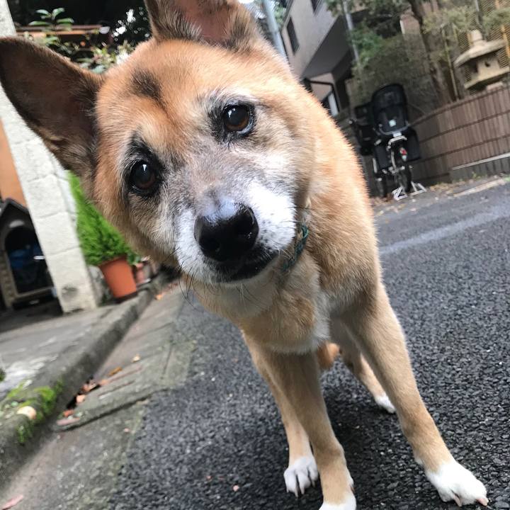 33adb0bb a8b8 4a23 b38e 6d70cc3afbe2 1541456396408