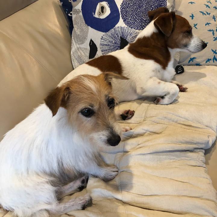 33ade727 2f81 479a b9fa 79f3ce803230 1604902967550