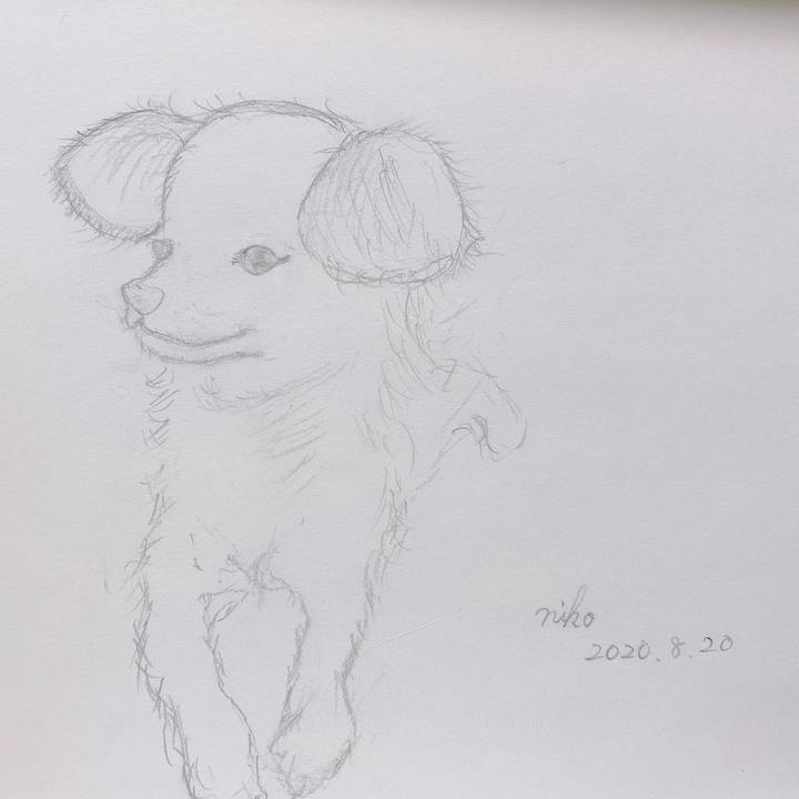 33adfcc2 a0b6 463f 8c54 597430711860 1643092545443