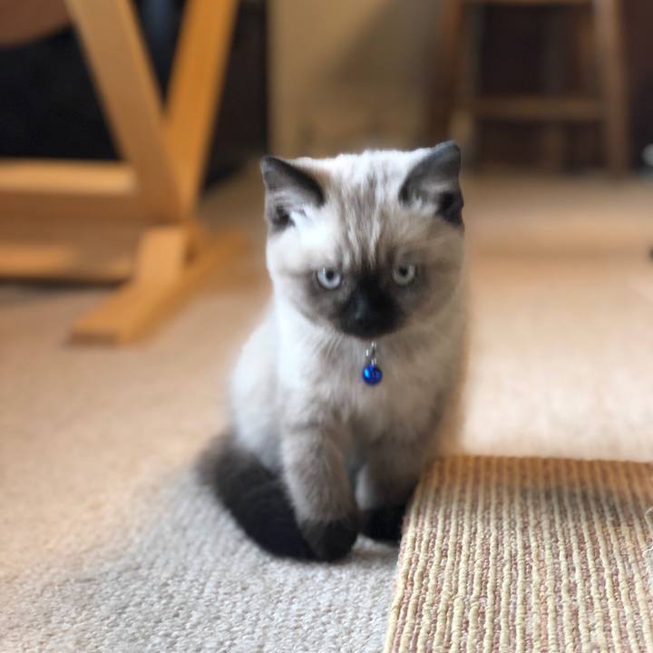 33ae042d 985e 46ca 96c4 c796ea24c5e1 1586651859364