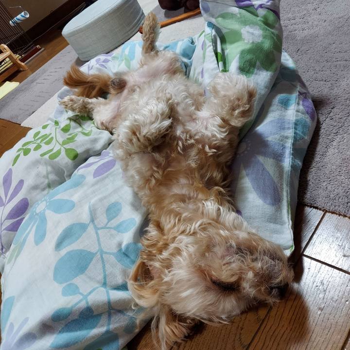 33ae1920 8692 4233 9f04 35a8cafe7bb4 1731760785589