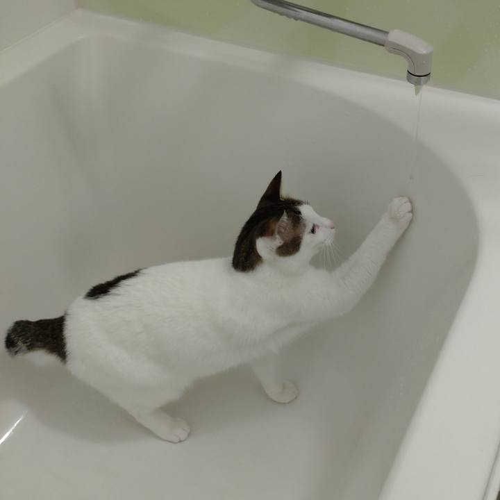 33ae8571 2968 444e 950d 8e1a7ed62899 1672660386114