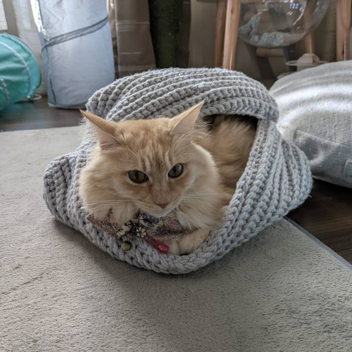 33ae8b3f 6c46 4e19 8047 cbba2671f916 1766713120211