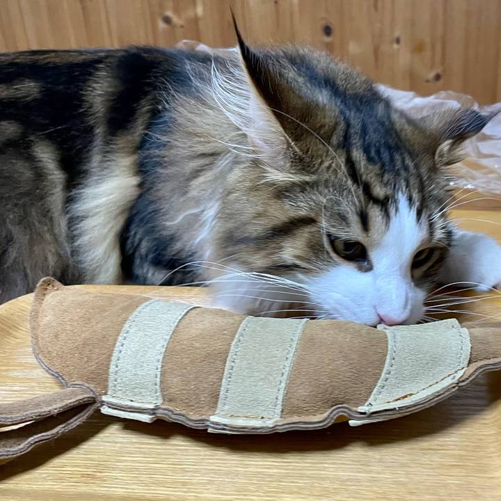 33ae8d96 ea2e 4413 b753 7662154c4218 1640438800503