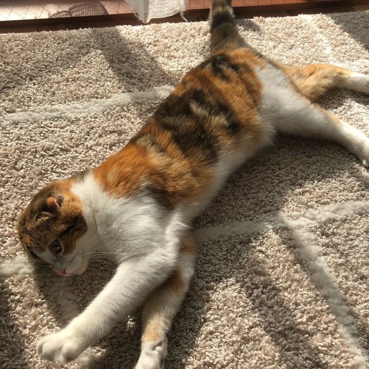 33aefc67 791f 457f aa15 61d05e0cf82f 1513390069110