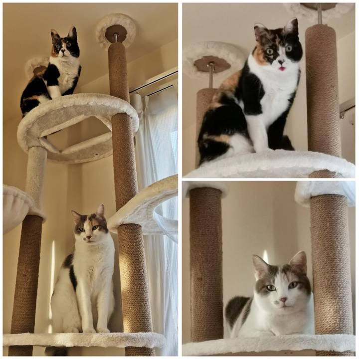 33af3e17 d6fa 49f6 924c c06ec11b339d 1667449903691