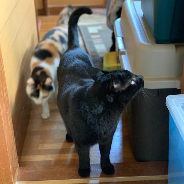 33af3fe3 6804 47ac 8fe7 08a6194ed95f 1555809298241