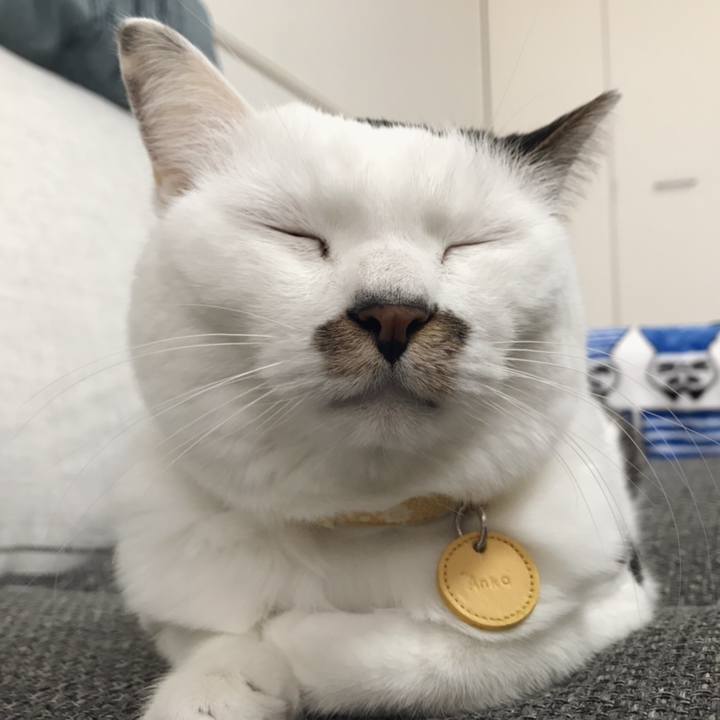 33af4686 2eab 482d 93f2 491601deb851 1549353322407