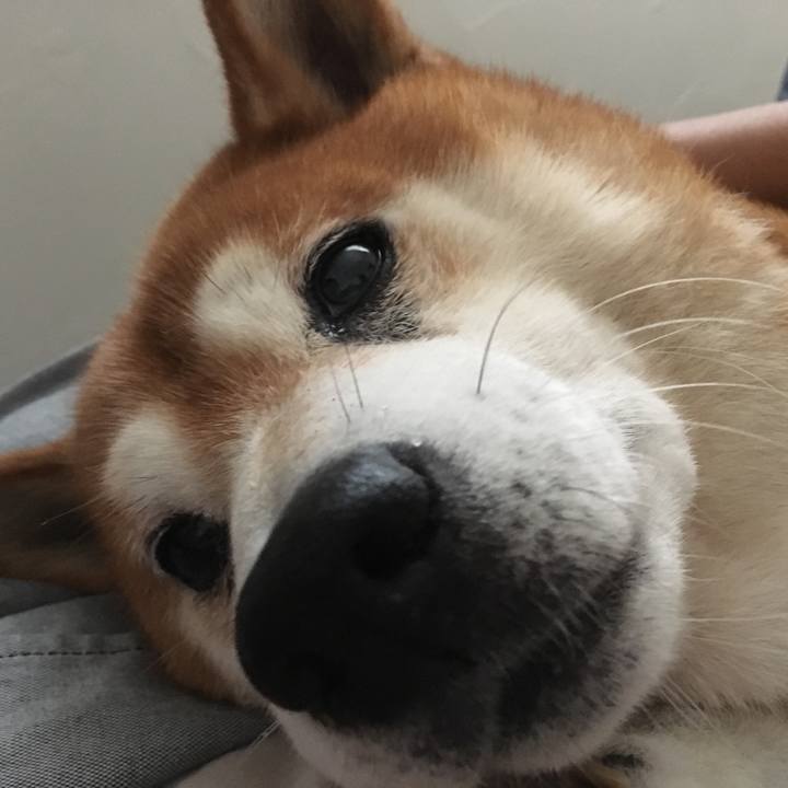 33af562e ae95 4573 9192 adf74798afb0 1534560588221