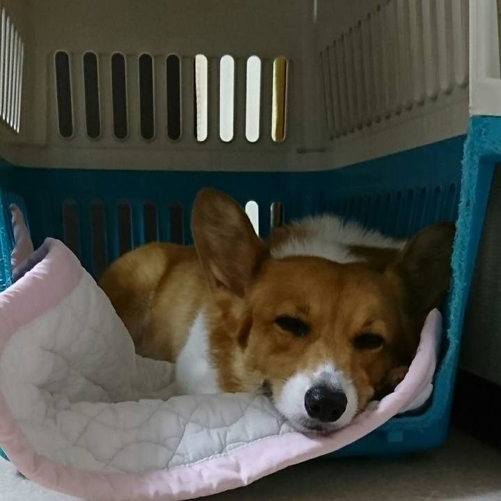 33af8b07 9943 45c6 8228 5a1c2a9ea81b 1533985988395